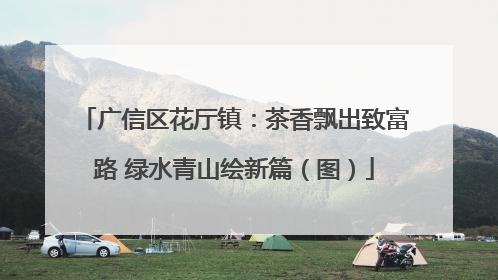 广信区花厅镇：茶香飘出致富路 绿水青山绘新篇（图）