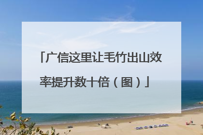 广信这里让毛竹出山效率提升数十倍（图）