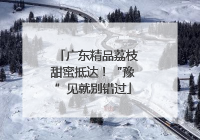 广东精品荔枝甜蜜抵达！“豫”见就别错过