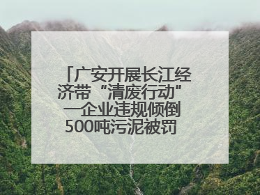 广安开展长江经济带“清废行动” 一企业违规倾倒500吨污泥被罚8万元