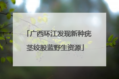广西环江发现新种疣茎绞股蓝野生资源