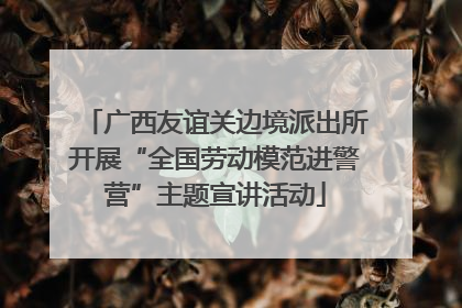 广西友谊关边境派出所开展“全国劳动模范进警营”主题宣讲活动