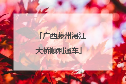 广西藤州浔江大桥顺利通车