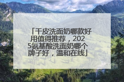 干皮洗面奶哪款好用值得推荐，2025氨基酸洗面奶哪个牌子好，温和在线