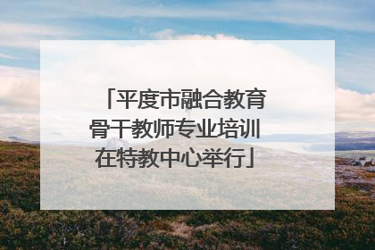 平度市融合教育骨干教师专业培训在特教中心举行
