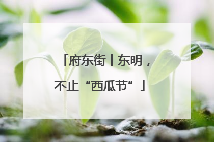 府东街丨东明，不止“西瓜节”
