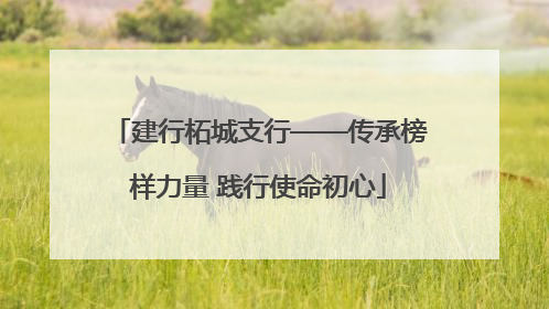 建行柘城支行——传承榜样力量 践行使命初心