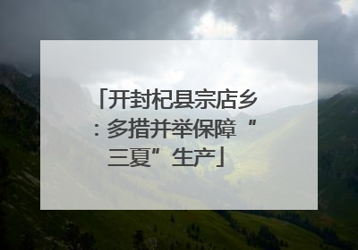 开封杞县宗店乡：多措并举保障“三夏”生产