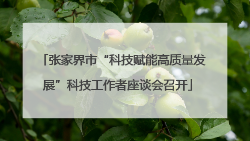 张家界市“科技赋能高质量发展”科技工作者座谈会召开