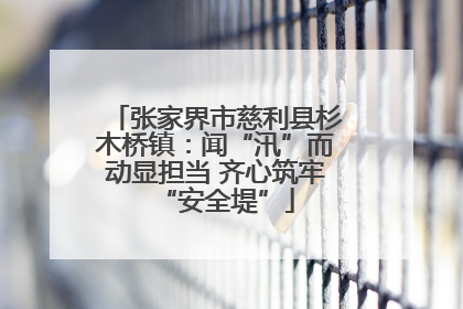 张家界市慈利县杉木桥镇：闻“汛”而动显担当 齐心筑牢“安全堤”