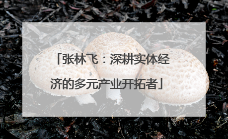 张林飞：深耕实体经济的多元产业开拓者