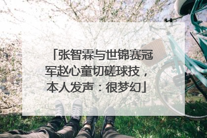 张智霖与世锦赛冠军赵心童切磋球技，本人发声：很梦幻
