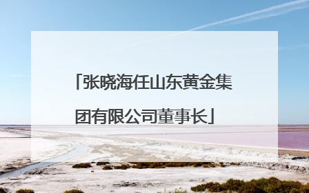 张晓海任山东黄金集团有限公司董事长