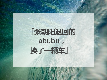 张朝阳退回的Labubu，换了一辆车
