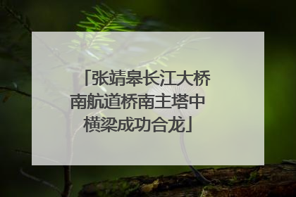 张靖皋长江大桥南航道桥南主塔中横梁成功合龙