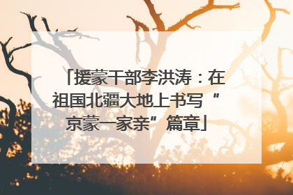 援蒙干部李洪涛：在祖国北疆大地上书写“京蒙一家亲”篇章