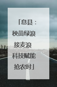 息县：秧苗绿浪接麦浪 科技赋能抢农时
