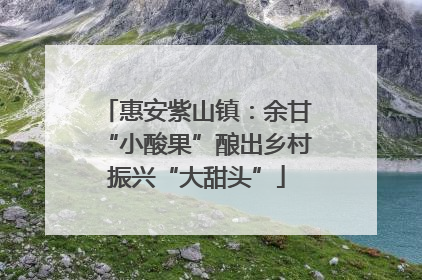 惠安紫山镇：余甘“小酸果”酿出乡村振兴“大甜头”