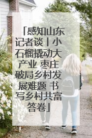 感知山东记者谈丨小石榴撬动大产业 枣庄破局乡村发展难题 书写乡村共富答卷
