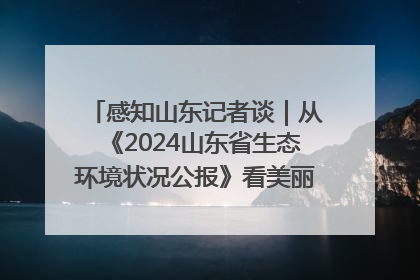 感知山东记者谈｜从《2024山东省生态环境状况公报》看美丽山东建设的“成绩单”与“任务书”