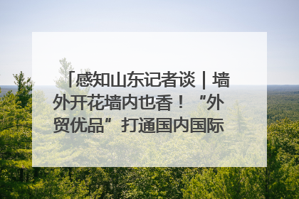 感知山东记者谈｜墙外开花墙内也香！“外贸优品”打通国内国际市场“旋转门”