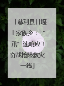 慈利县甘堰土家族乡：“汛”速响应！奋战抢险救灾一线