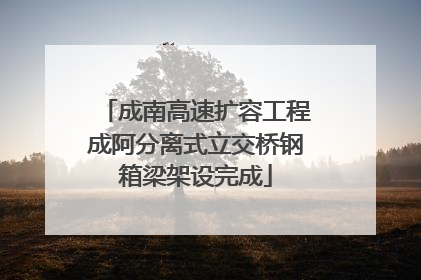成南高速扩容工程成阿分离式立交桥钢箱梁架设完成