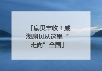扇贝丰收！威海扇贝从这里“走向”全国