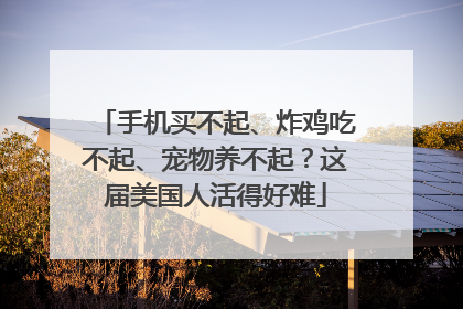 手机买不起、炸鸡吃不起、宠物养不起？这届美国人活得好难