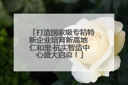 打造国家级专精特新企业培育新高地 仁和里·杭实智造中心盛大启幕！
