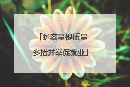 扩容量提质量 多措并举促就业