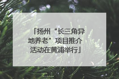 扬州“长三角异地养老”项目推介活动在黄浦举行