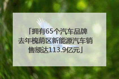拥有65个汽车品牌 去年槐荫区新能源汽车销售额达113.9亿元