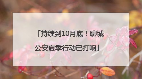 持续到10月底！聊城公安夏季行动已打响