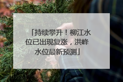 持续攀升！柳江水位已出现复涨，洪峰水位最新预测
