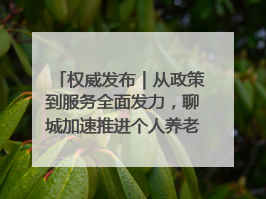 权威发布｜从政策到服务全面发力，聊城加速推进个人养老金制度落地