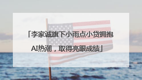 李家诚旗下小雨点小贷拥抱AI热潮，取得亮眼成绩