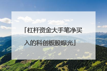 杠杆资金大手笔净买入的科创板股曝光