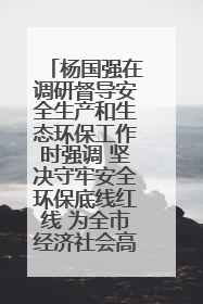 杨国强在调研督导安全生产和生态环保工作时强调 坚决守牢安全环保底线红线 为全市经济社会高质量发展提供坚强保障