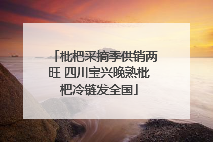 枇杷采摘季供销两旺 四川宝兴晚熟枇杷冷链发全国
