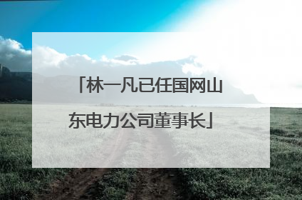 林一凡已任国网山东电力公司董事长