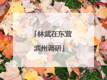 林武在东营滨州调研