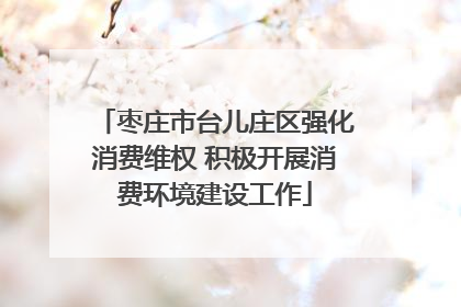 枣庄市台儿庄区强化消费维权 积极开展消费环境建设工作