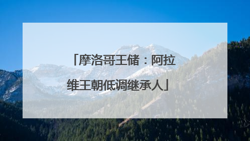 摩洛哥王储：阿拉维王朝低调继承人