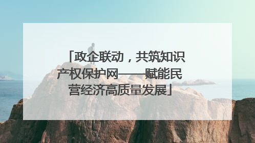 政企联动，共筑知识产权保护网——赋能民营经济高质量发展