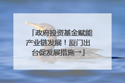 政府投资基金赋能产业链发展！厦门出台促发展措施→