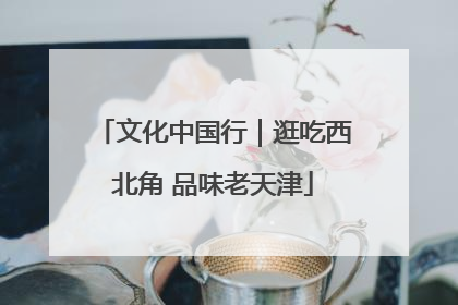 文化中国行｜逛吃西北角 品味老天津