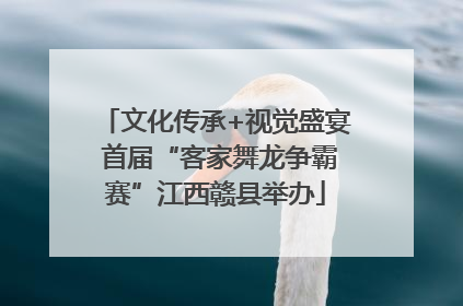文化传承+视觉盛宴 首届“客家舞龙争霸赛”江西赣县举办