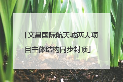 文昌国际航天城两大项目主体结构同步封顶
