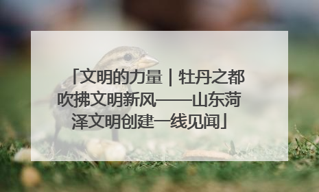 文明的力量｜牡丹之都吹拂文明新风——山东菏泽文明创建一线见闻